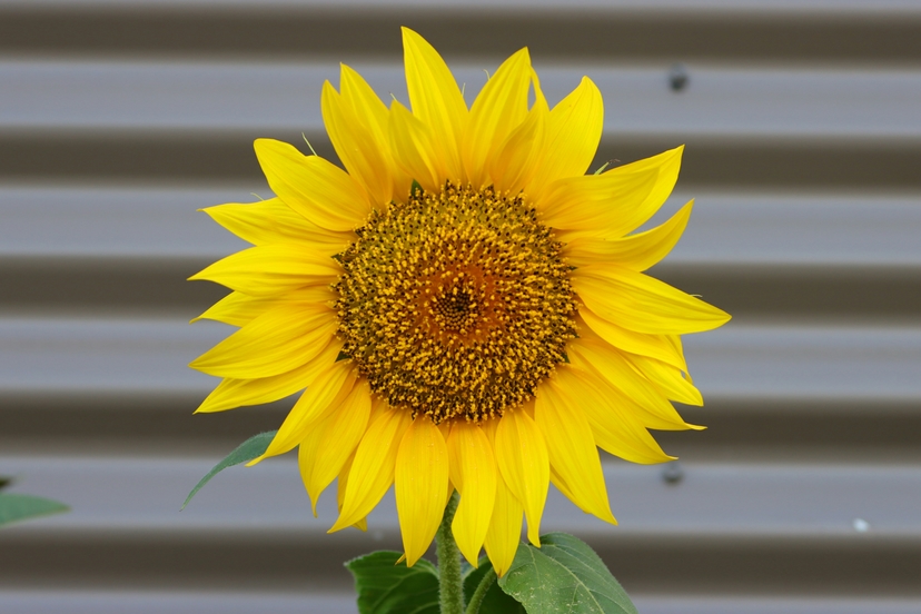 Curated collection Image